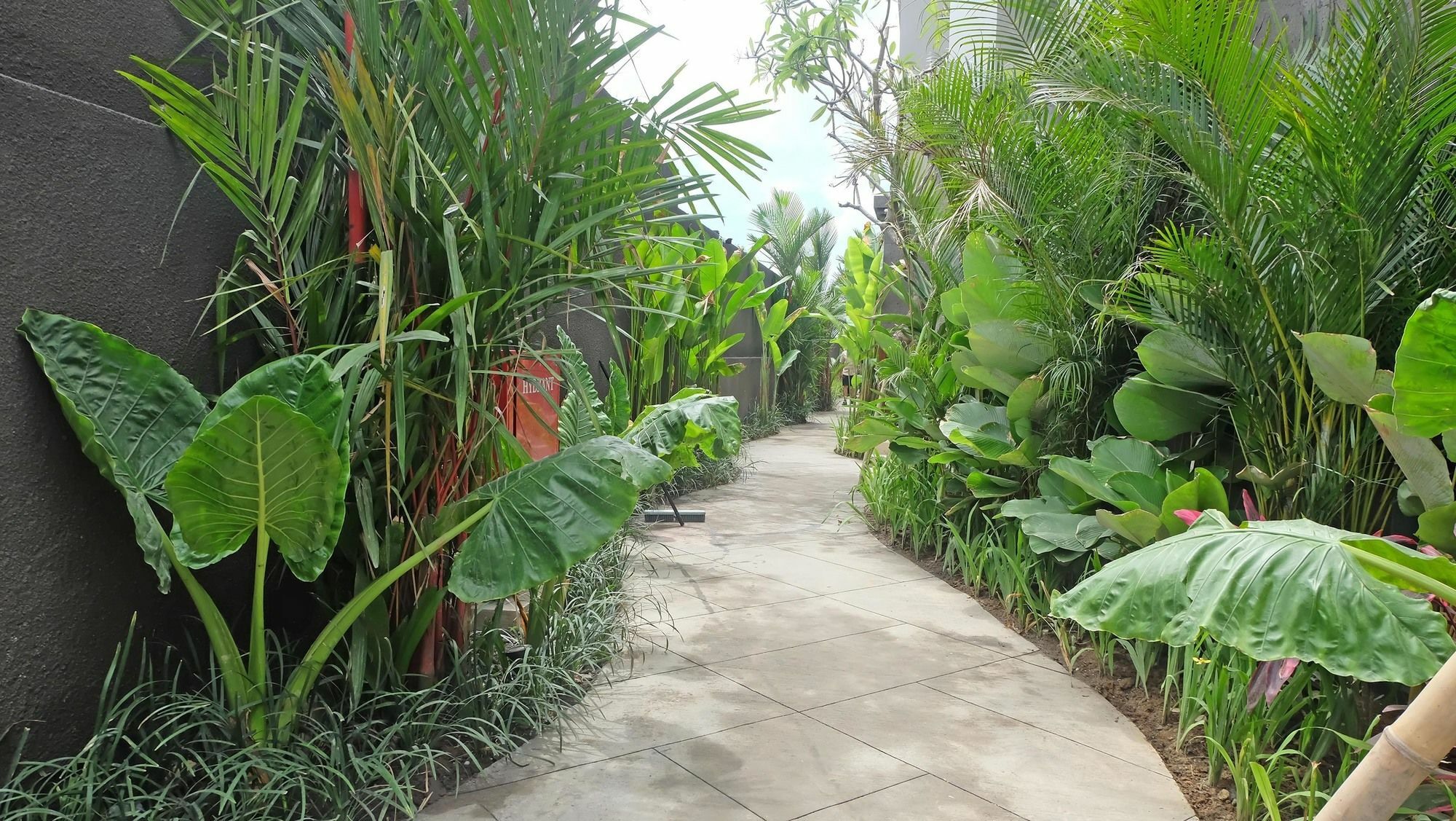 Sense Resort 4*
